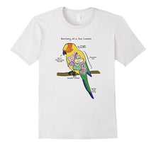 Sun Conure Funny Parrot T-Shirt - Anatomy of a Sun Conure