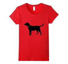 Labrador Retriever, Black Lab