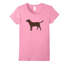 Labrador Retriever, Chocolate Lab