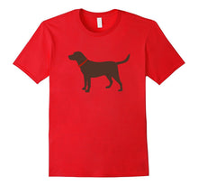 Labrador Retriever, Chocolate Lab