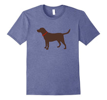 Labrador Retriever, Chocolate Lab