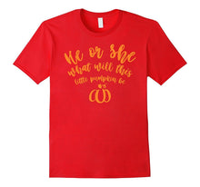 He or She What Will This Little Pumpkin Be T-Shirt