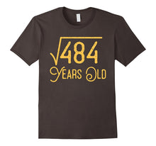 22nd Birthday Gift 22 Years Old Square Root of 484 T-Shirt