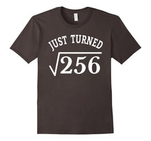 16 Years Old Just Turn Square Root 256 16th Birthday T-Shirt