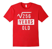16th Birthday Gift 16 Yr Years Old Funny Square Root T Shirt