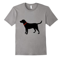 Labrador Retriever, Black Lab