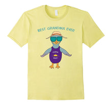Cool Fun Bird Hat Sunglasses - Best Grandma Ever Queen Bird