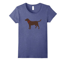 Labrador Retriever, Chocolate Lab