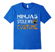 Ninjas Stole My Costume Funny Alternative Halloween T-Shirt