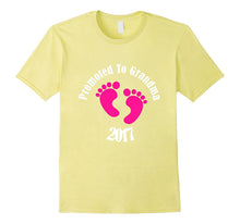 Promoted to Grandma 2017 Tshirt It's a Baby Girl Proud